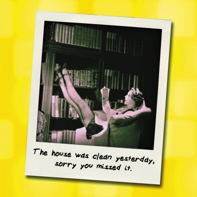 Redback WL12 The house was cle