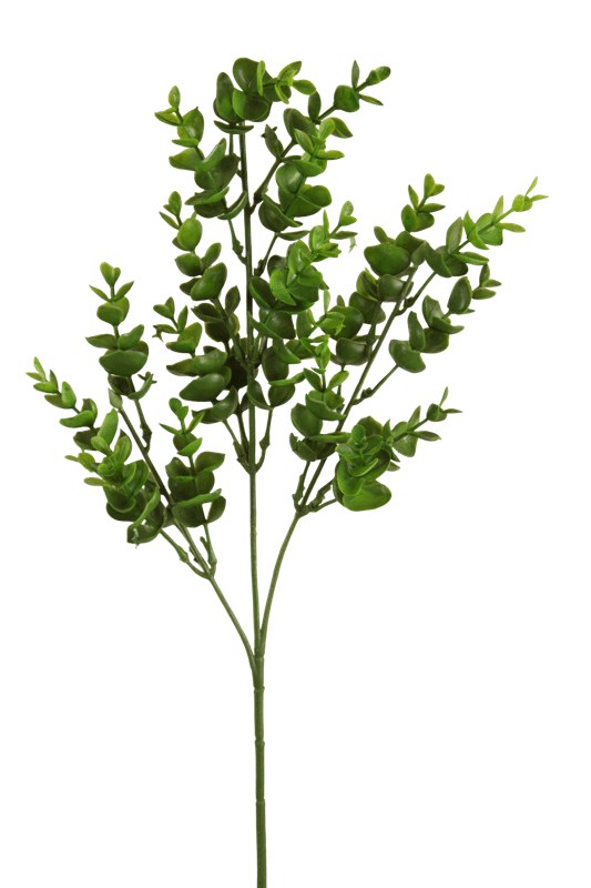 Picture of Faux Eucalyptus Stem Green 65cm