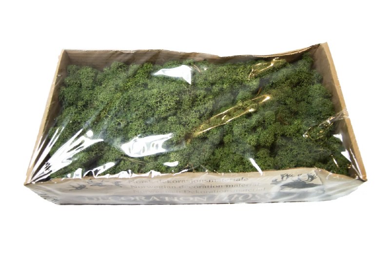 Picture of Florist Icelandic Moss Green 500grams