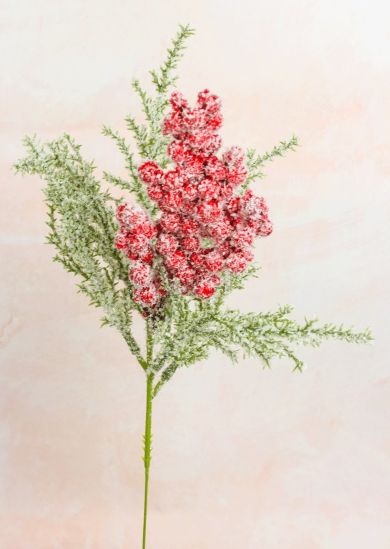 Picture of Christmas Snowy Berry Stem 28cm