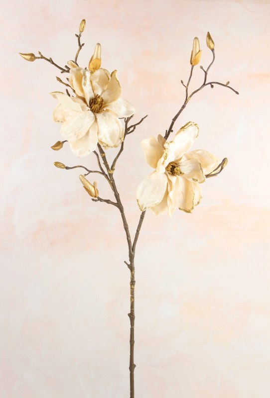 Faux Magnolia Stem Cream/ Gold 32"