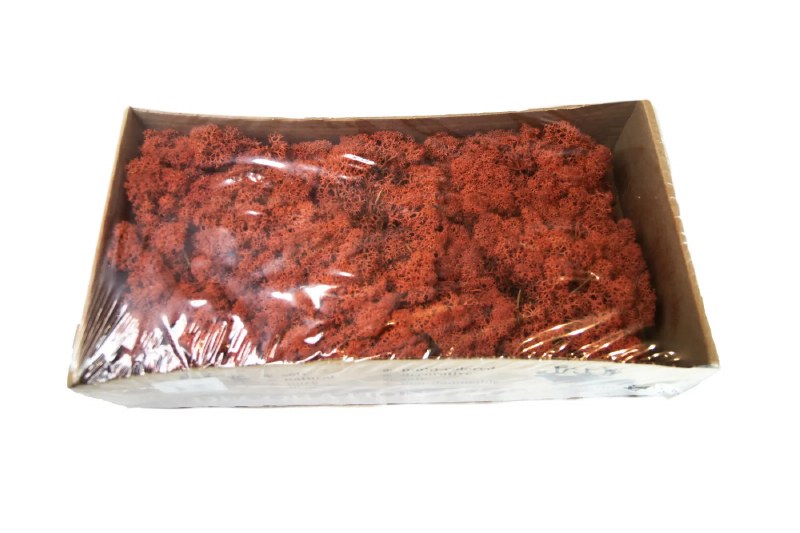 Floirst Icelandic Moss Sienna 500grams