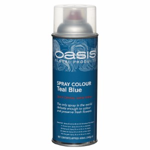 spray paint oasis teal floral colour sky