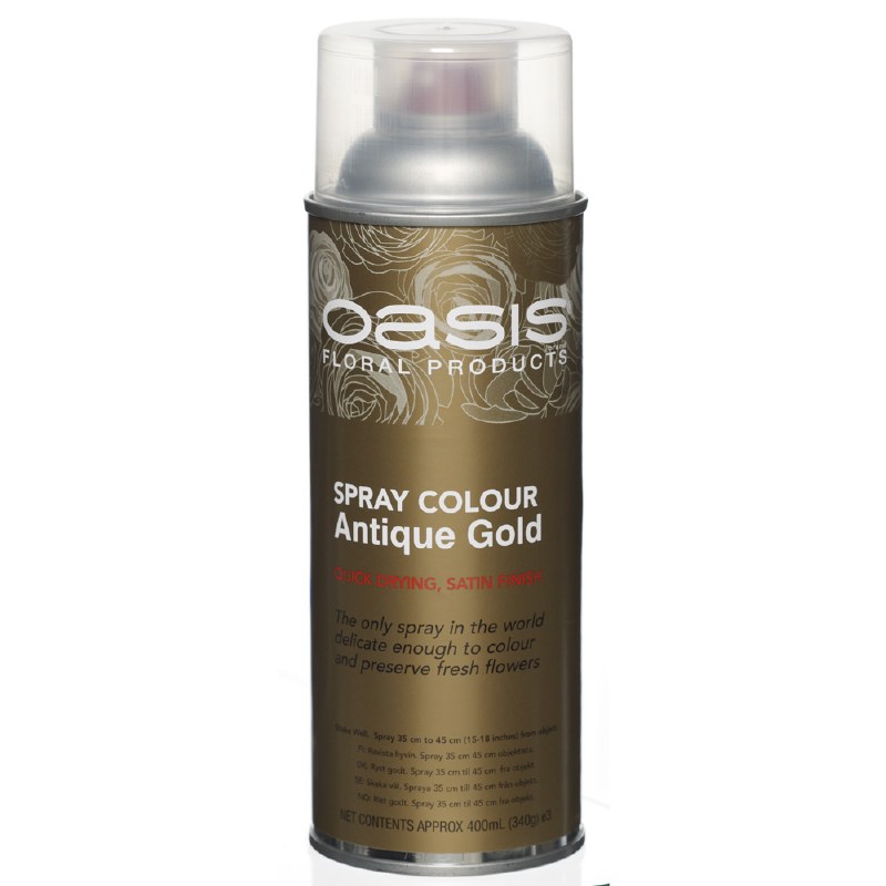 Antique gold Oasis florist spray paint,400ml