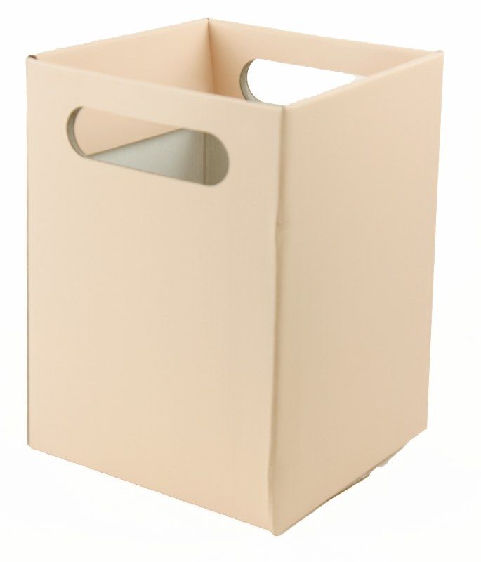 Picture of Flower Transporter Box x 10 Pale Peach