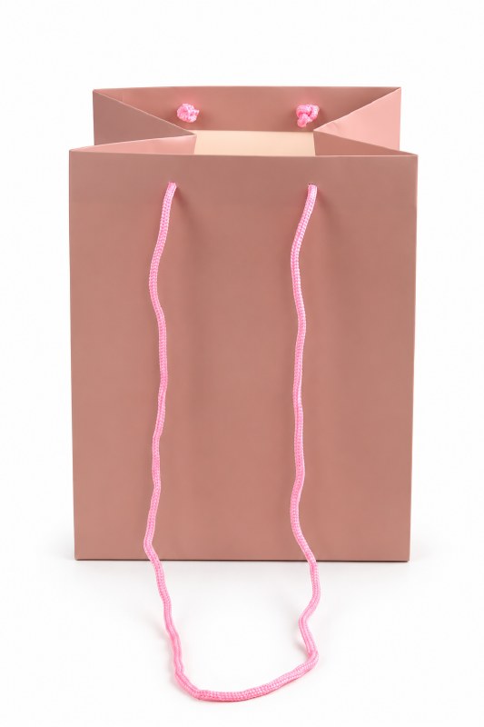 Florist Bag Blush With Long Handle x 10