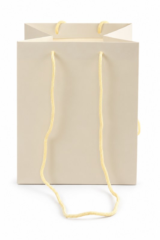 Florist Bag Ivory With Long Handle x 10