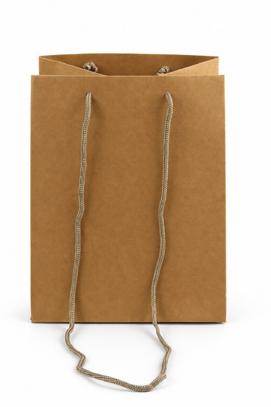 Florist Bag Kraft With Long Handle x 10