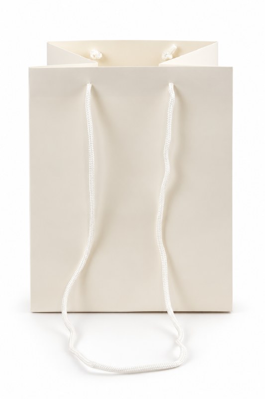 Florist Bag White With Long Handle x 10