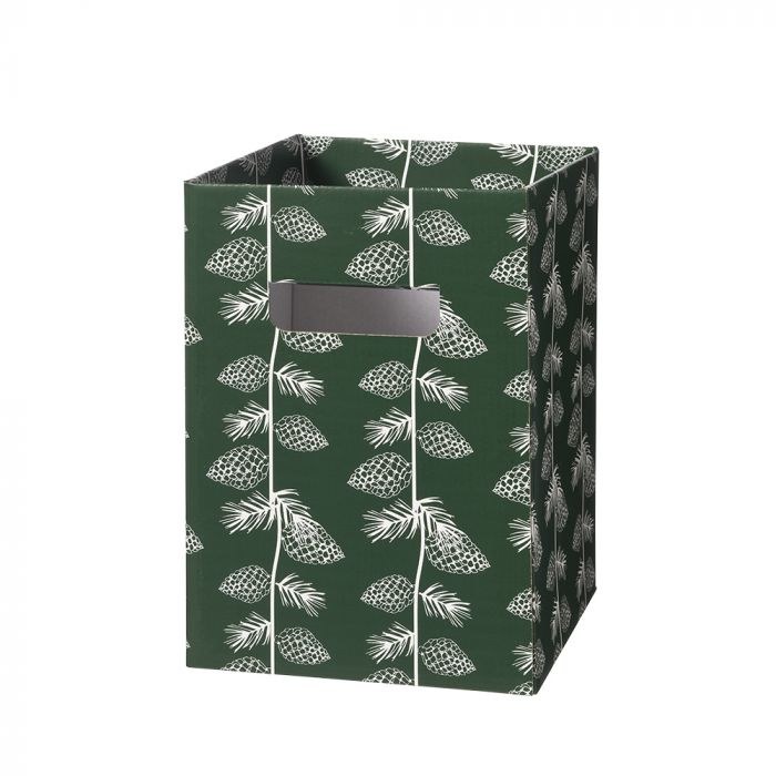 Flower Porto Box Pine x 10