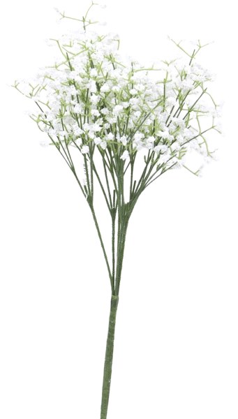 Picture of 6 stem Gypsophilia bush, stems-45cm