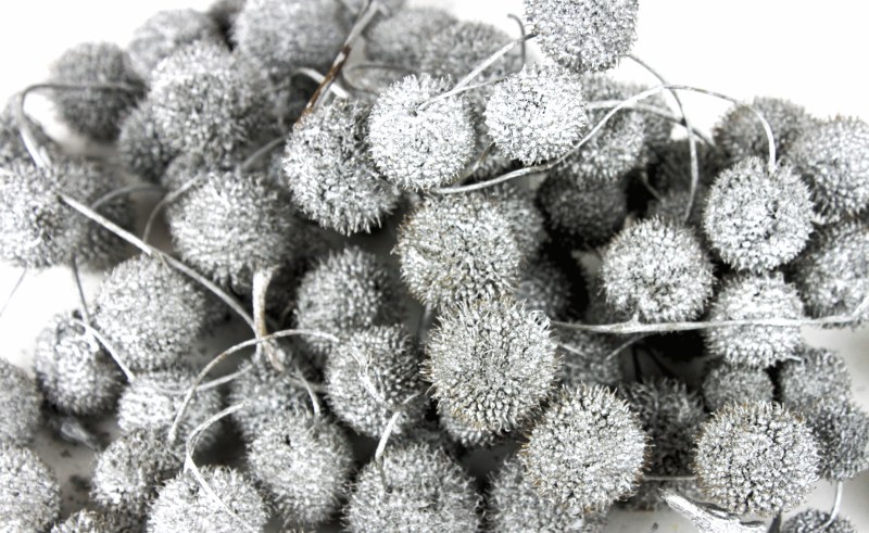 Dried Platan White Wash 300gr