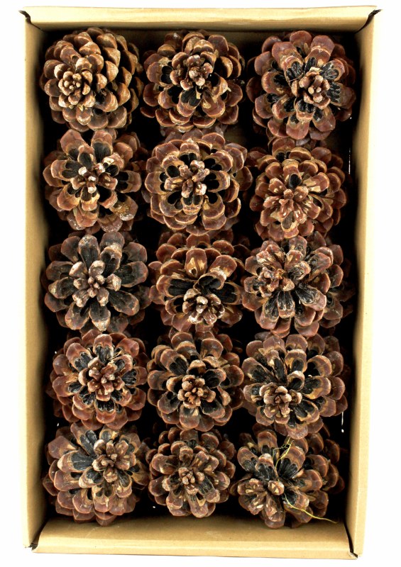 Picture of Pinea Cone Large Natural x 15