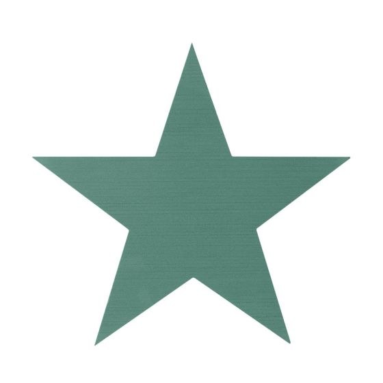Picture of Floral Foam Star 41x44cm
