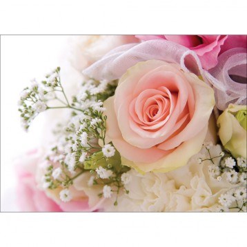 Picture of Folded Florist Gift Card Rose & Gyp x 25pcs 10cm x 7cm