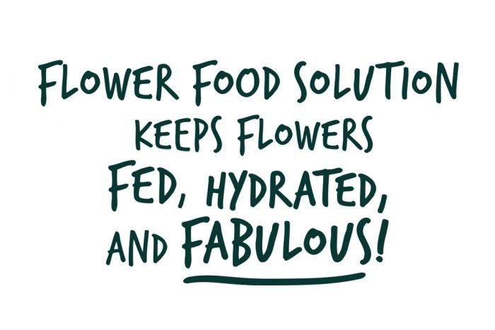 Picture of FLOWER CARE CARDS FAB X50