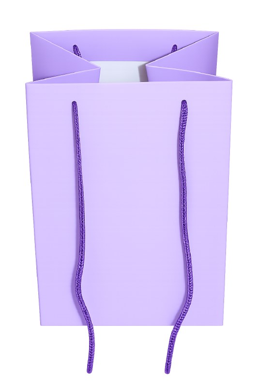 Florist bag x 10 lilac