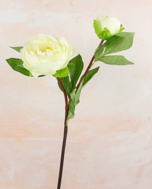 Picture of Ivory Peony Rose artificial flower 76cm