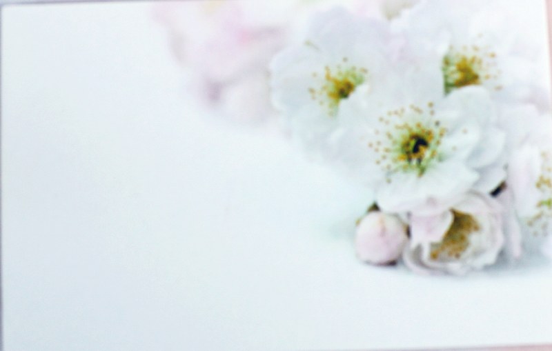 Picture of Florist Cards Small Pink/White x 50pcs