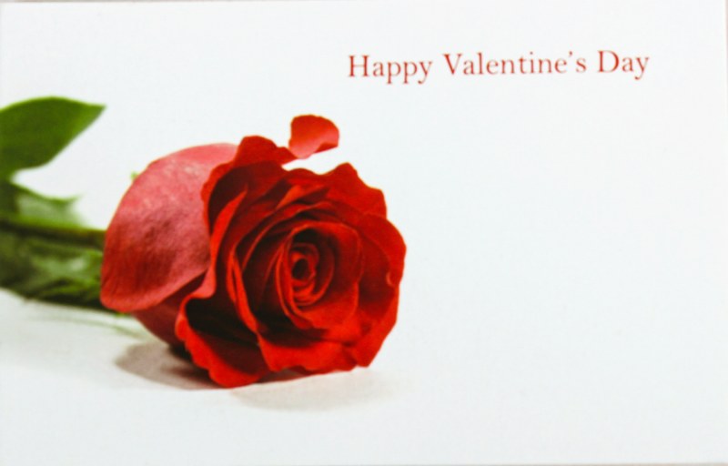 Picture of Happy Valentine's Day Florist Small Gift Cards x 50pcs