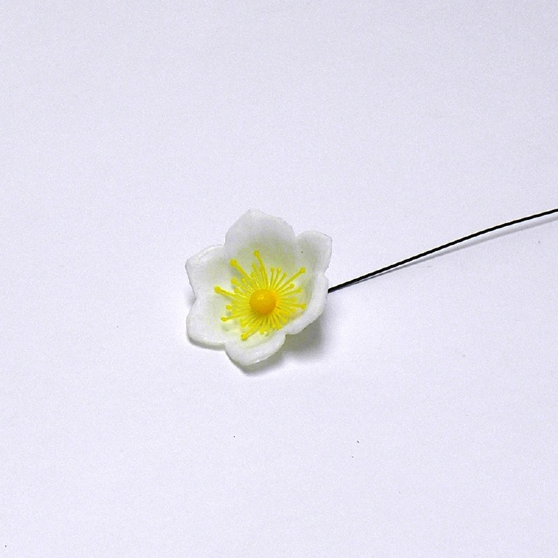 Picture of 100 x Christmas rose