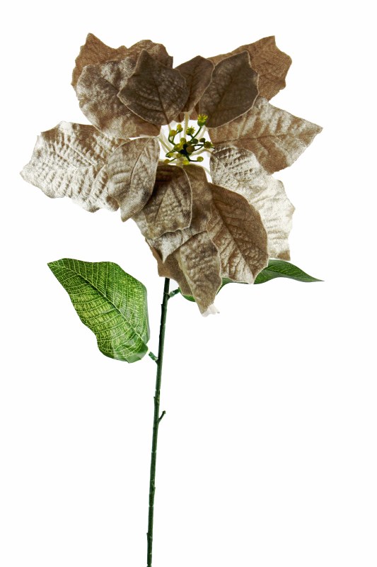 Picture of Faux Velvet Christmas Poinsettia Stem Champagne 76cm