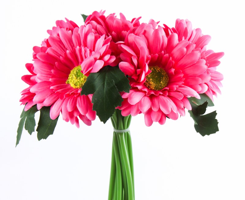 Artificial Gerbera Bunch Dark Pink x 12