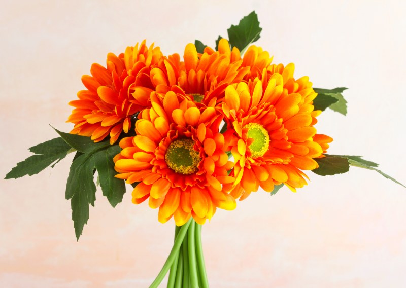 Faux Gerbera Bunch Orange 12 Stems