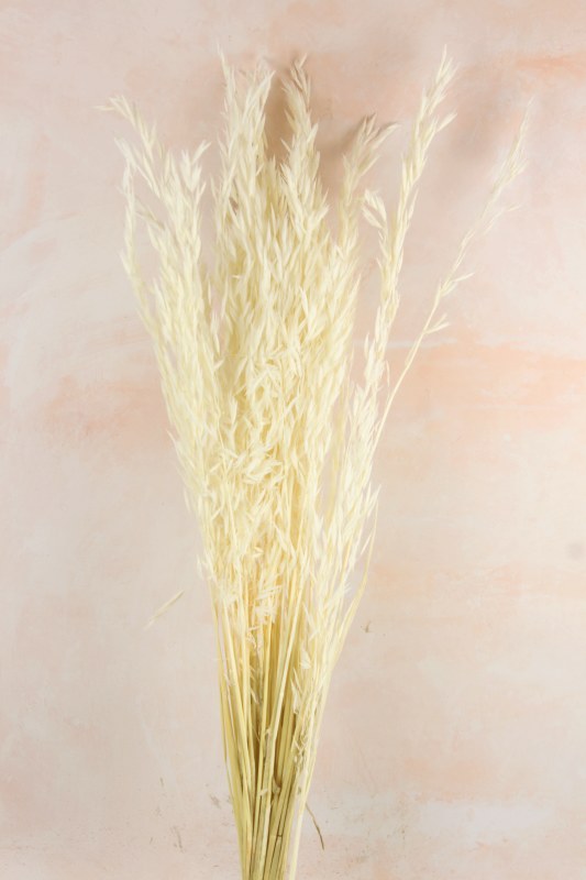 Picture of Dried White Oats Bundle