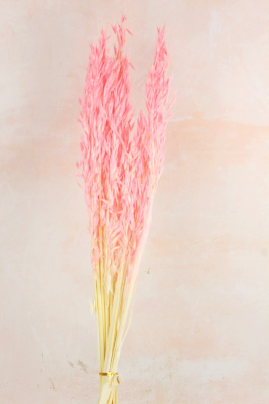 Picture of Dried Pink Oats Bundle