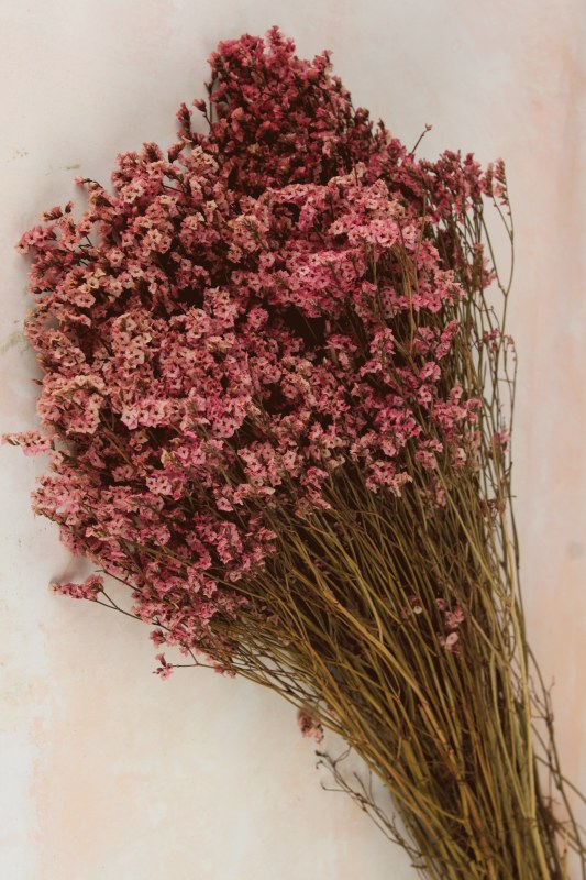 Picture of Dried Statice 120g Pink