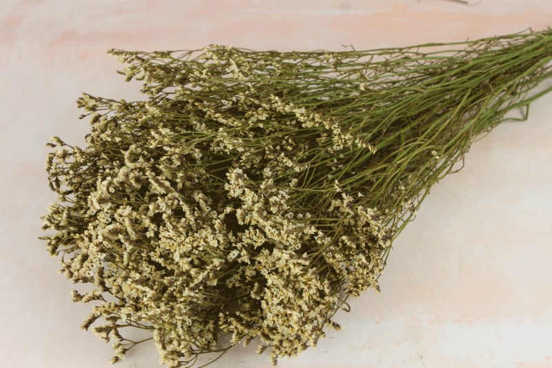Dried Statice 120g White Natural