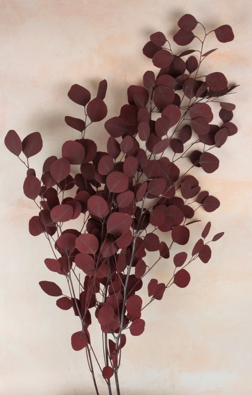Preserved Eucalyptus Populus Red