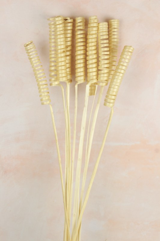 Dried Palm Curl Bundle Bleached