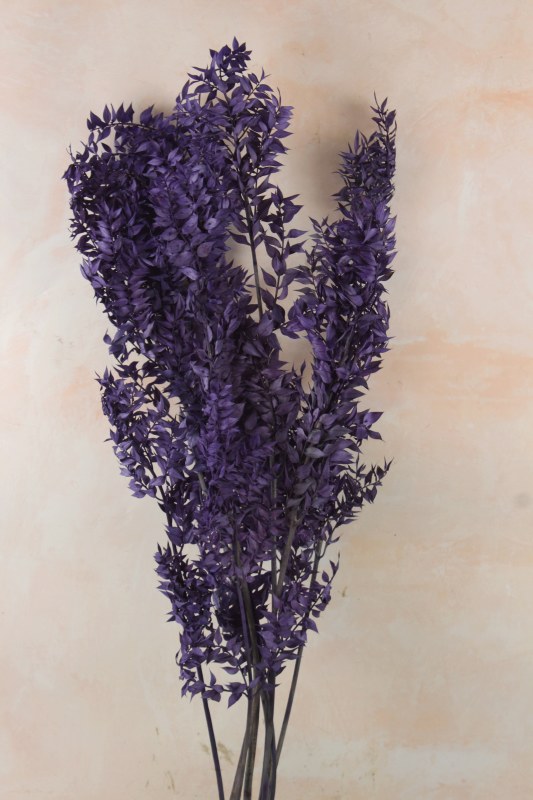 Dried Ruscus Bunch Purple