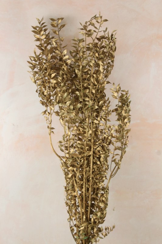 Dried Ruscus Bunch Gold