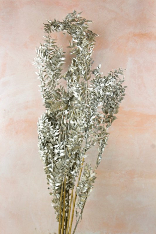 Dried Ruscus Bunch Metallic Silver