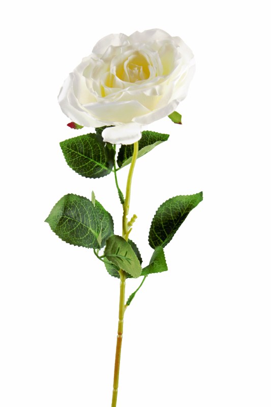 Picture of Single Stem Open Faux Rose Ivory 65cm