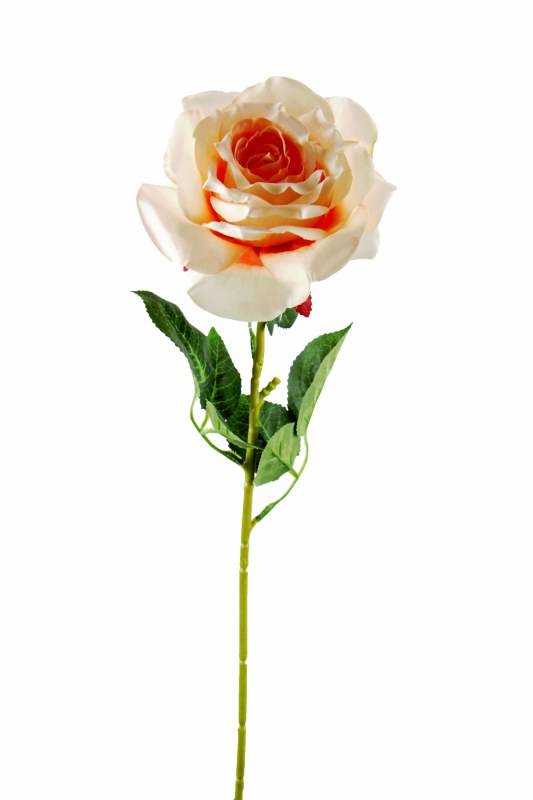 Picture of Single Stem Open Faux Rose Peach 65cm