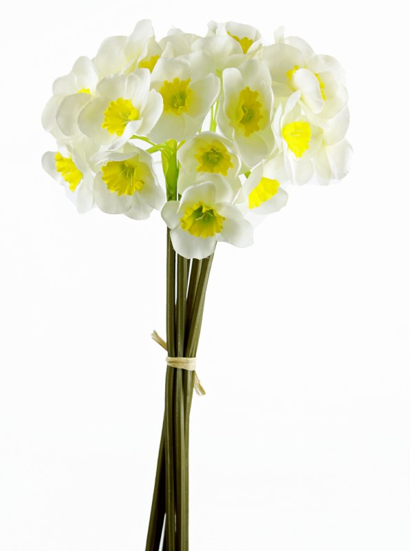 Picture of Faux Daffodil Bunch 40cm White
