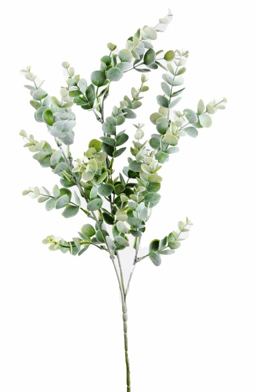Picture of Faux Frosted Eucalyptus Stem 67cm