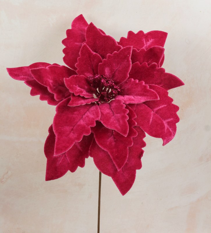 Picture of Velvet Poinsettia Fuchsia 22cm