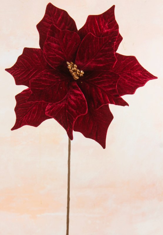 Picture of Valvet Poinsettia Stem 33cm Burgundy