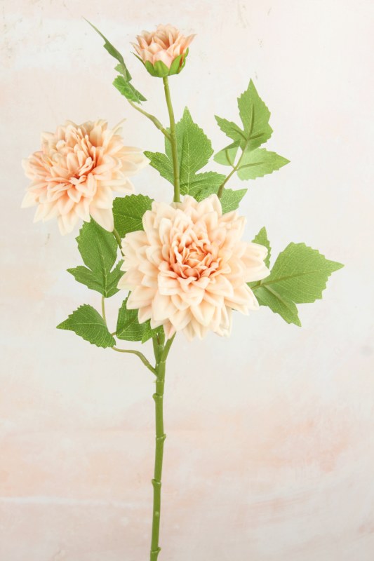 Picture of Dahlia Stem Peachy Cream 65cm