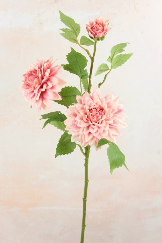 Picture of Dahlia Stem Pink 65cm
