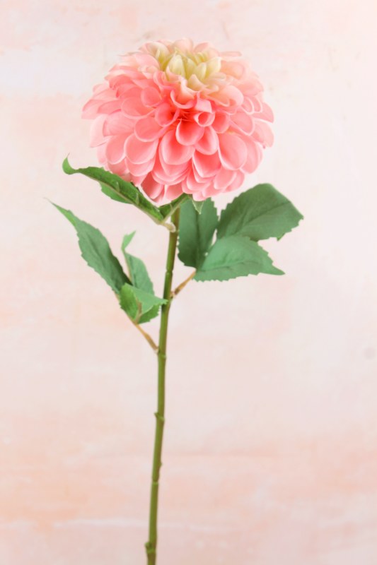 Pom Pom Dahlia Pink 63cm