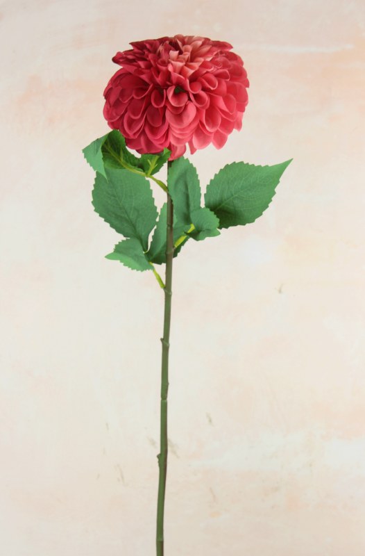 Pom Pom Dahlia Burgundy  63cm