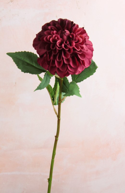 Pom Pom Dahlia Burgundy  63cm