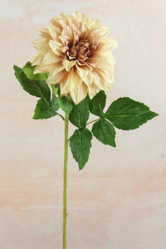 Dahlia Long Stem Cafe Au Lait 73cm