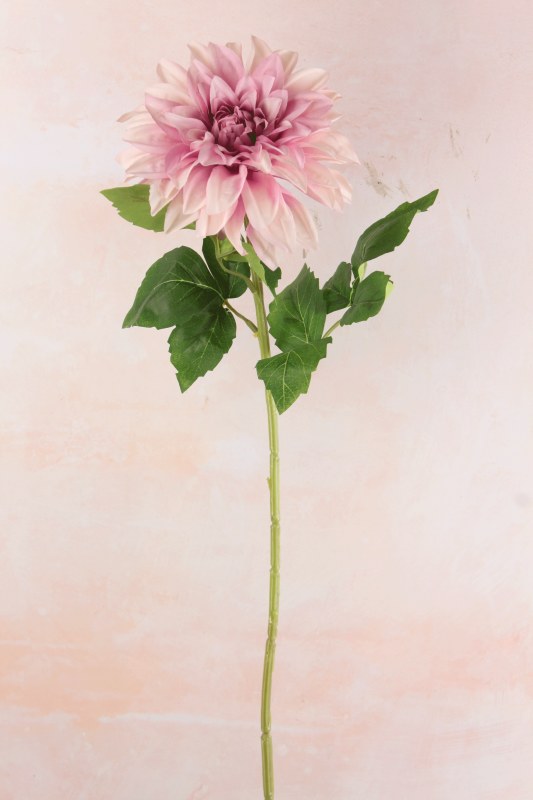 Picture of Dahlia Open Long Stem Lilac 73cm